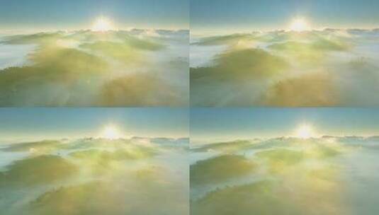 航拍云雾中的茶山高清在线视频素材下载