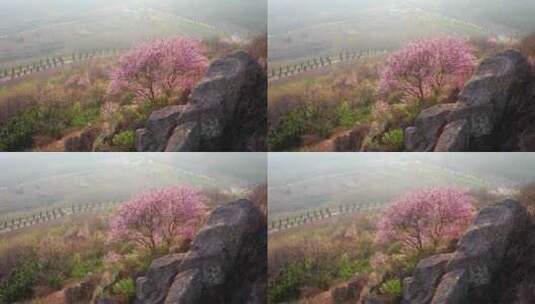 乡村振兴 绿水青山 大好河山 田园风光高清在线视频素材下载