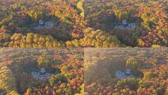 南京秋天 音乐台 中山陵风景区高清在线视频素材下载