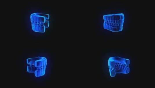 3D全息投影人类牙齿动画素材高清在线视频素材下载