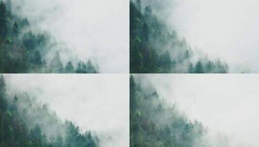 航拍云雾森林高清在线视频素材下载