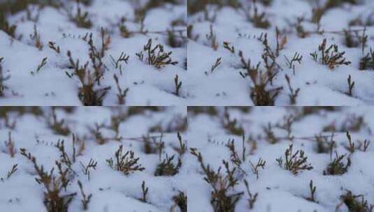 城市下雪空镜雪景高清在线视频素材下载