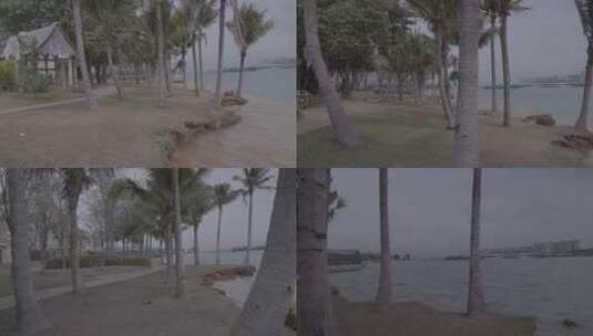 海南儋州市海花岛椰林高清在线视频素材下载