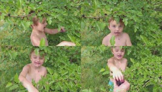 蹒跚学步的孩子在夏天吃桑树高清在线视频素材下载
