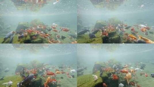 济南七十二名泉水下摄影高清在线视频素材下载