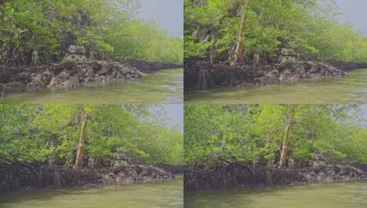 海上红树林树根生态近景视角高清在线视频素材下载