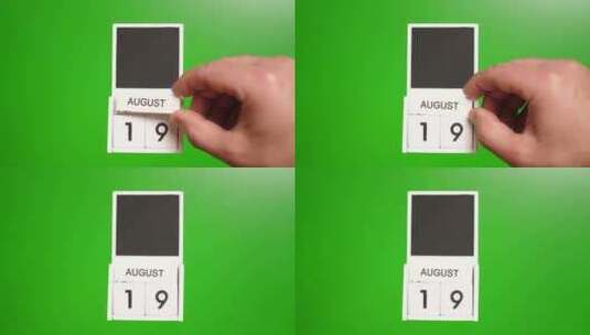 08.绿色背景上日期为8月19日的日历。高清在线视频素材下载