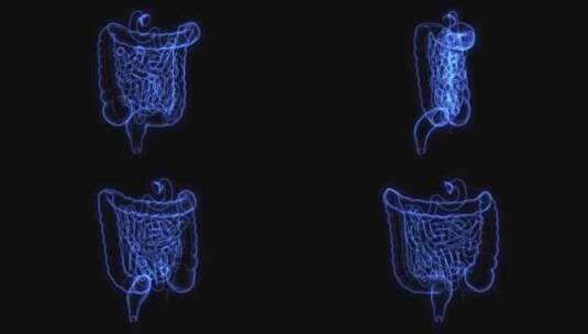 人体肠道全息图高清在线视频素材下载
