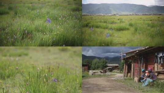 美丽高原上的藏族小村庄高清在线视频素材下载
