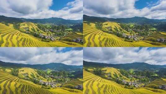 广西金秋龙脊梯田稻田--4K-420-30P高清在线视频素材下载