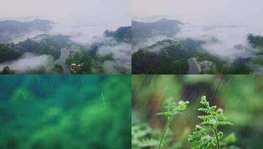 云雾森林下雨自然山涧流水泉水高清在线视频素材下载