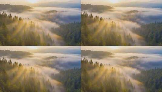 山林日出云雾弥漫景象高清在线视频素材下载