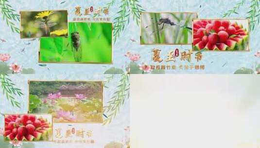 简洁唯美水墨二十四节气夏至宣传展示高清AE视频素材下载