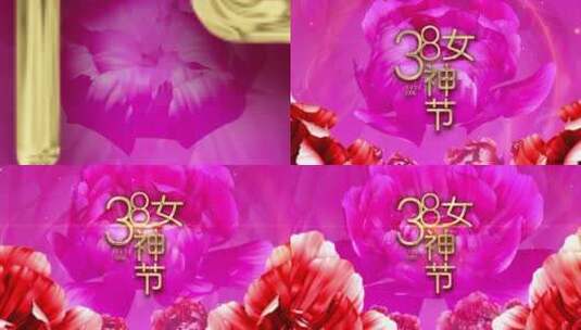 三八妇女节片头 38女神节高清AE视频素材下载