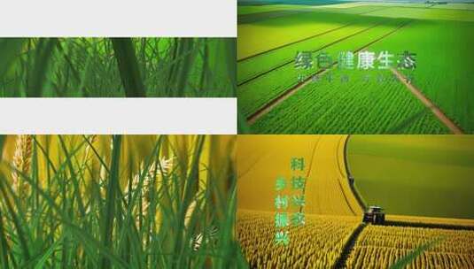 绿色农业生态模板高清AE视频素材下载