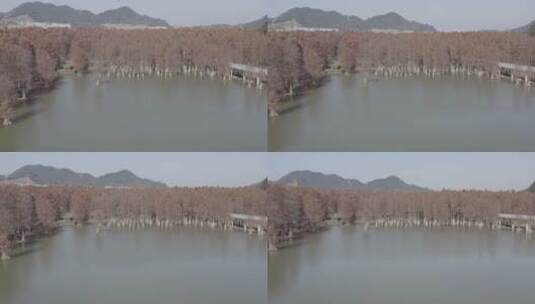 青山湖绿道高清在线视频素材下载