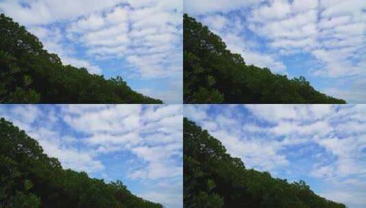 单镜头树木天空飘云延时高清在线视频素材下载