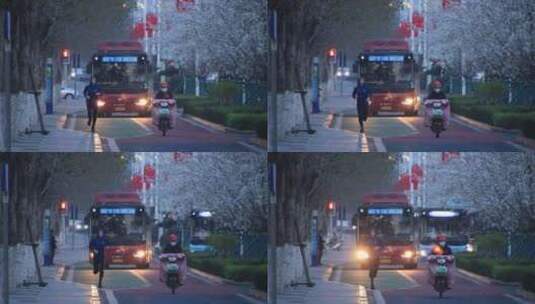 威海世昌大道上的樱花与公共汽车高清在线视频素材下载