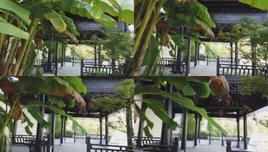 古典园林回廊 苏州园林4k视频高清在线视频素材下载