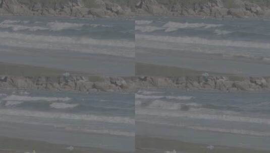 海边沙滩4K+50帧+log高清在线视频素材下载