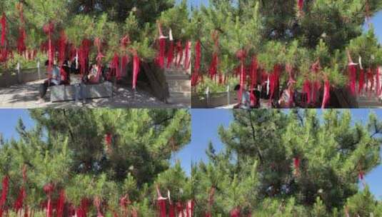 天空树叶夏季祈福绿树高清在线视频素材下载