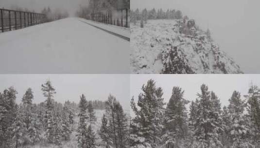 松岭雪景 大雪下的山与林高清在线视频素材下载