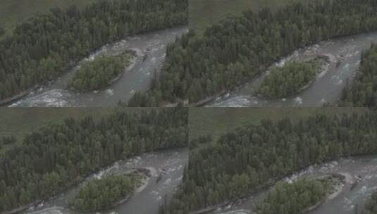 新疆禾木航拍夏季森林河流高清在线视频素材下载