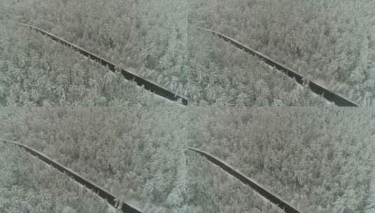 航拍森林冰雪高清在线视频素材下载