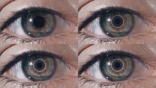 人眼微距特写素材高清在线视频素材下载