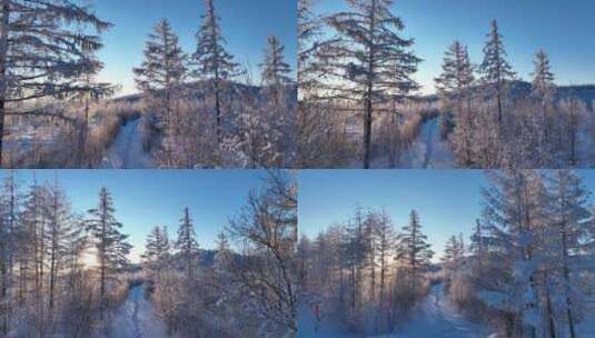 航拍冬季森林小路阳光雪林高清在线视频素材下载