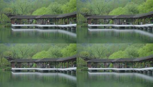 春天杭州乌龟潭阴雨天古建筑植物绿色自然高清在线视频素材下载