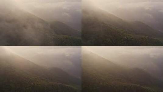 森林云雾高清在线视频素材下载