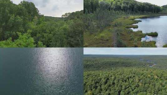 航拍绿色森林湖泊河流天然氧吧原始森林高清在线视频素材下载