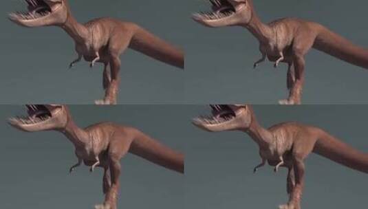 28小型恐龙3D跑步高清在线视频素材下载