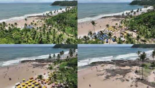 热带海滨海滩高清在线视频素材下载