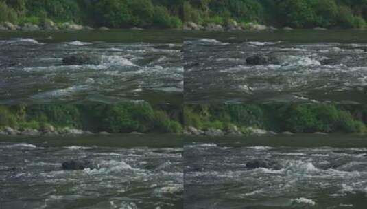 河流流水流域水资源高清在线视频素材下载