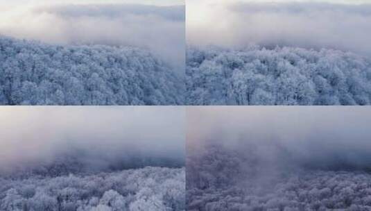 雪景冬季航拍雾凇，大兴安岭高清在线视频素材下载