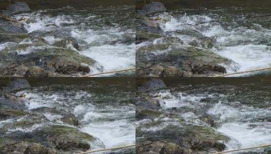 大山里的泉水河流清澈生态水花素材高清在线视频素材下载