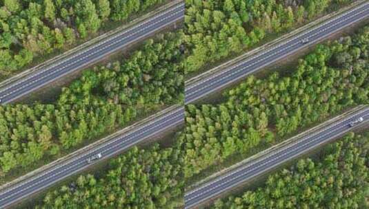 森林里的公路高清在线视频素材下载
