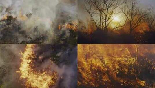 森林火灾干燥燃烧烟雾防火消防高清在线视频素材下载