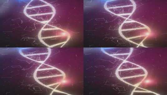 DNA基因序列动画高清在线视频素材下载