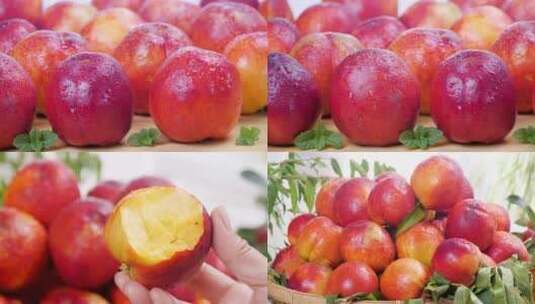 油桃-桃子-桃-毛桃-桃园-水果-农产品高清在线视频素材下载