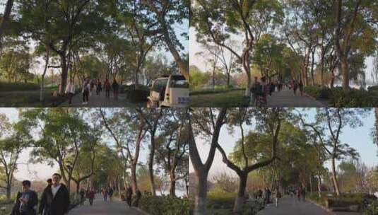 浙江杭州西湖景区游客人流运动延时摄影高清在线视频素材下载