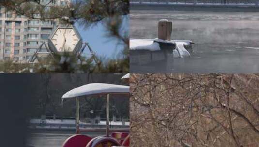 冬季雪景冬天公园景色沈阳南湖公园高清在线视频素材下载