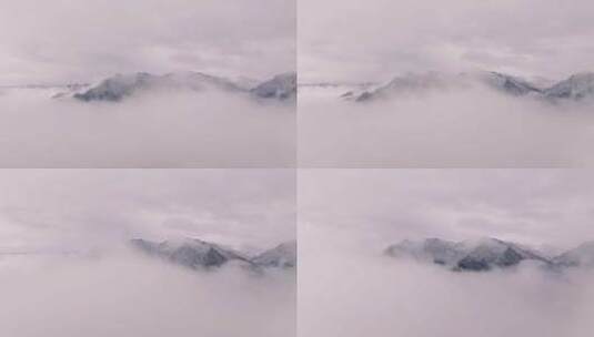 祁连山国家公园雾凇高清在线视频素材下载