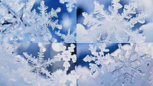 雪花冰晶_冬天雪花特写 雪景 冰晶高清在线视频素材下载