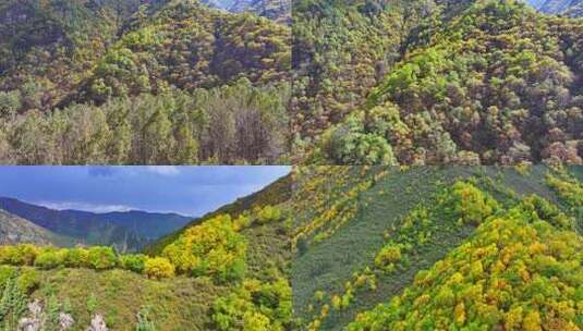 航拍青海海东互助浪士当北龙山秋景高清在线视频素材下载