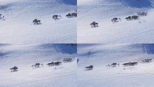 冬季内蒙古乌兰布统雪景航拍高清在线视频素材下载