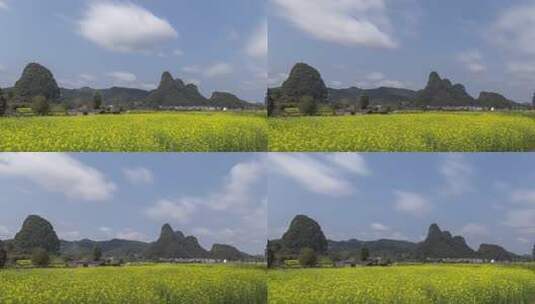 山间田野中的大片油菜花风景高清在线视频素材下载