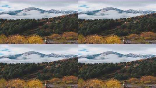 川西雪山森林秋日风景高清在线视频素材下载